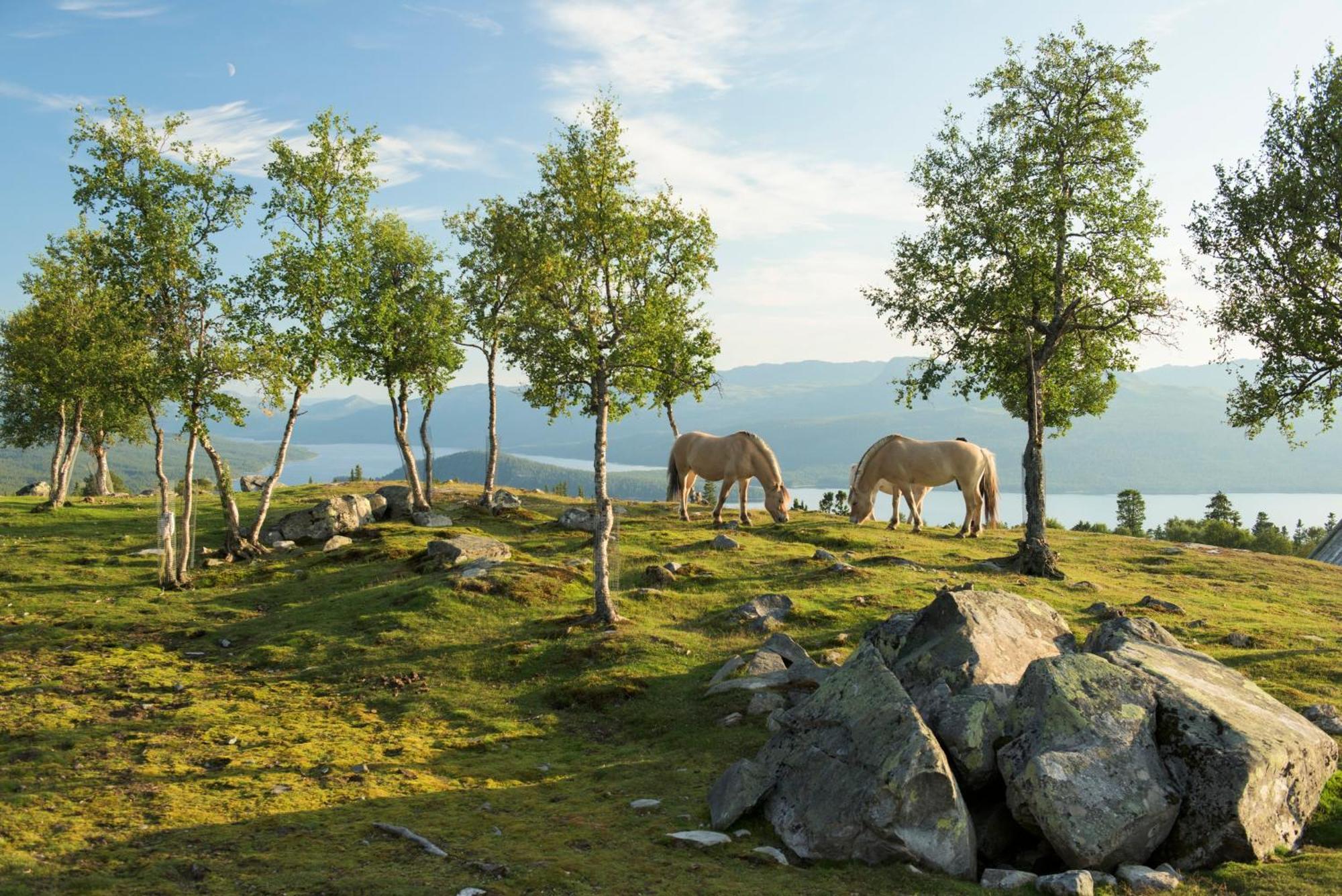 Langedrag Naturpark As Tunhovd Luaran gambar